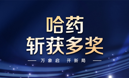 【喜讯】万象启，开新局，利来官网_利来集团斩获多枚奖项